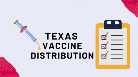 Texass plan for vaccine distribution