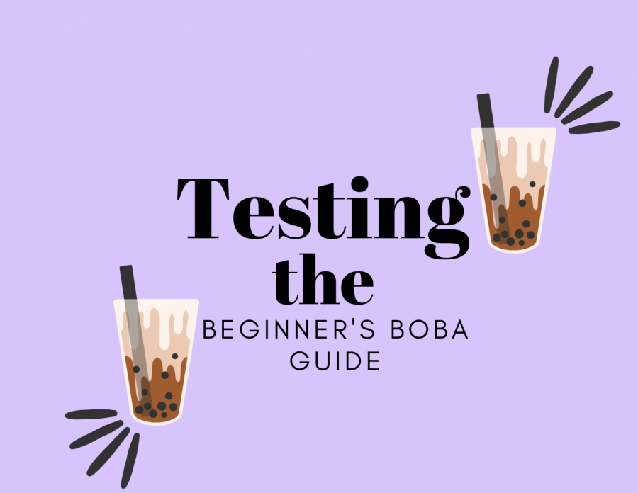 Testing the beginners boba guide