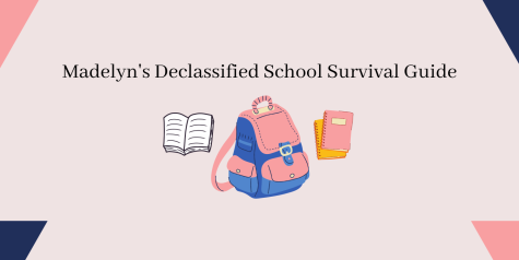 Madelyns Declassified School Survival Guide