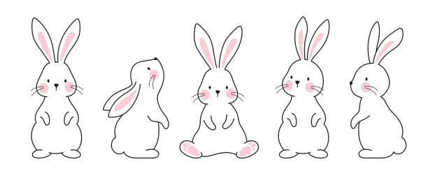 Bridgeland Bunnies: Ace &amp; Bunny Bao