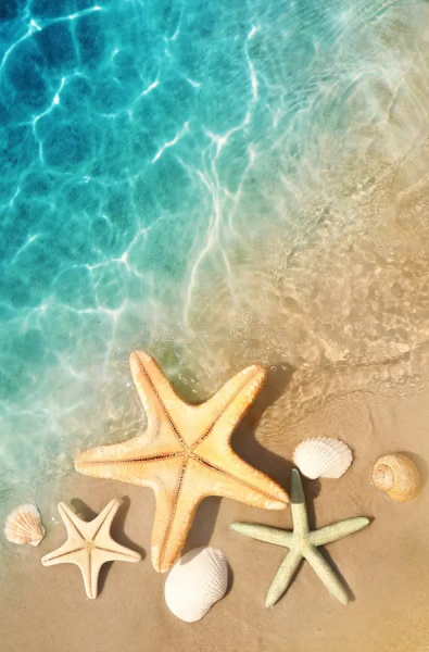 Shorter Summer or Frequent Breaks?